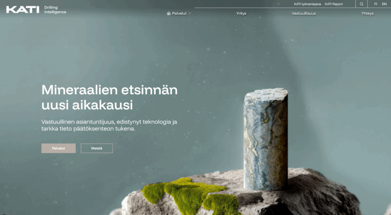 Kivinäyte asettunut kallion päälle